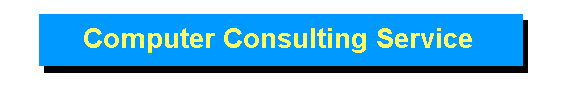 Computer Consulting Service